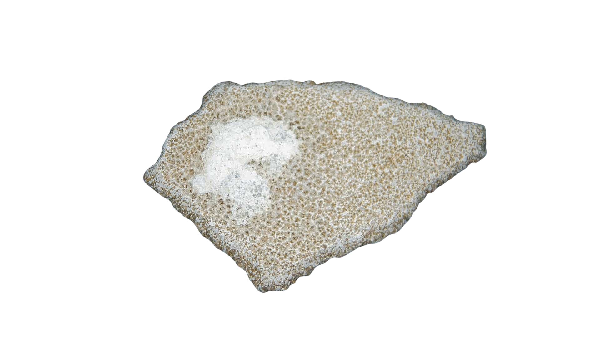 France Cretaceous Titanosaur Dinosaur Egg Shell 12a | Fossils for Sale Genuine Cretaceous Titanosaur Egg Shell Fossils for Sale from France #12a