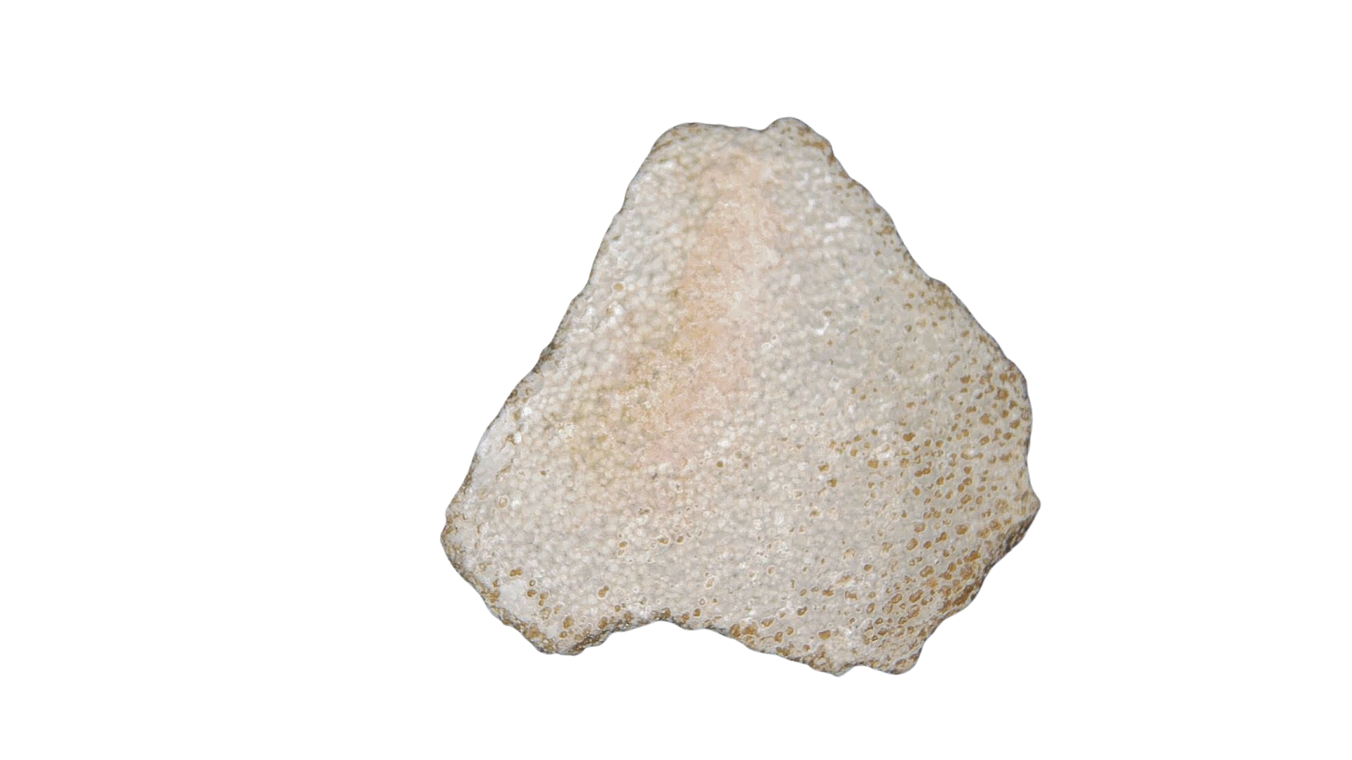 France Cretaceous Titanosaur Dinosaur Egg Shell 3 | Fossils for Sale Genuine Cretaceous Titanosaur Egg Shell Fossils for Sale from France #3