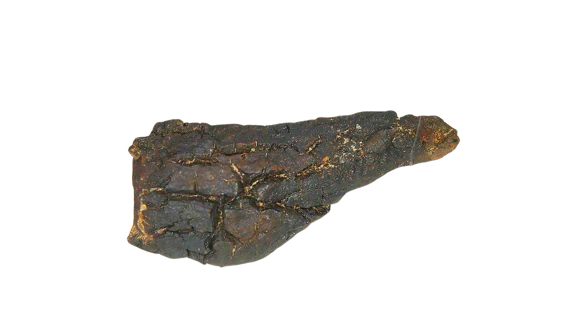 Madagascar Cretaceous Age Turtle Coprolite 25b | Fossils for Sale