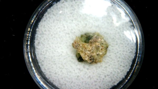 New Mexico Trinity Nuclear Bomb Test - Trinitite 79a | Fossils for Sale Genuine Trinity Nuclear Bomb Test in Frame for Sale from New Mexico #79a