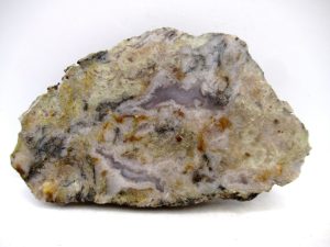 New-Mexico-Triassic-Age-Dinosaur-Coprolite | Fossils for Sale New-Mexico-Triassic-Age-Dinosaur-Coprolite