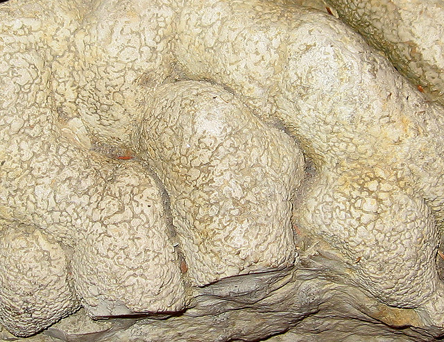 Cotham Marble
