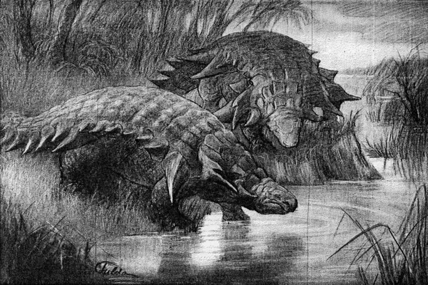 Edmontonia