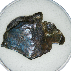 Genuine Egyptian Gebel Kamil Iron Meteorite For Sale From Egypt #30