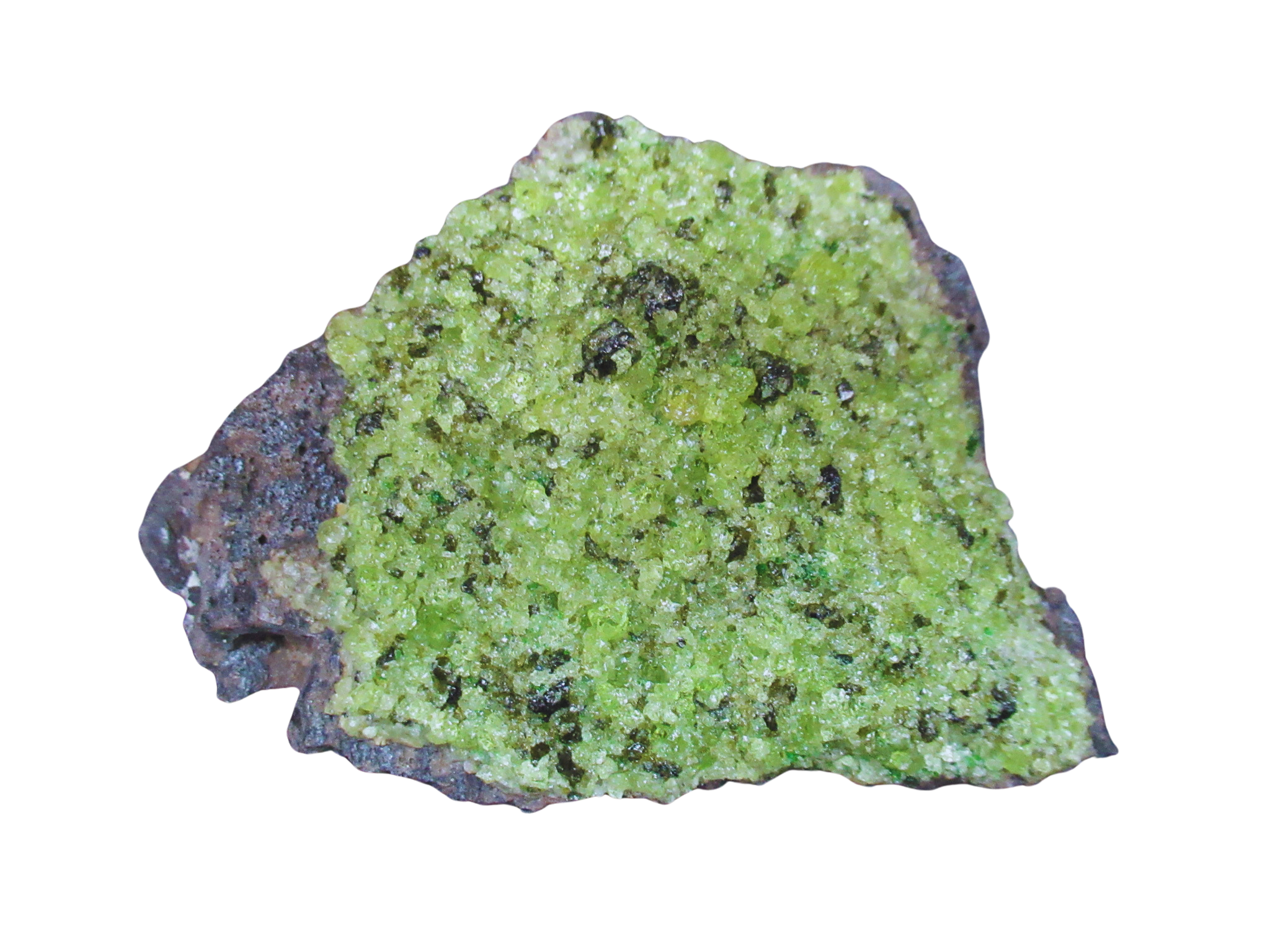 Peridot with Chrome Diopside and Spinel from Arizona 6 | Fossils for Sale Genuine Peridot with Chrome Diopside and Spinel Mineral For Sale From Arizona #6