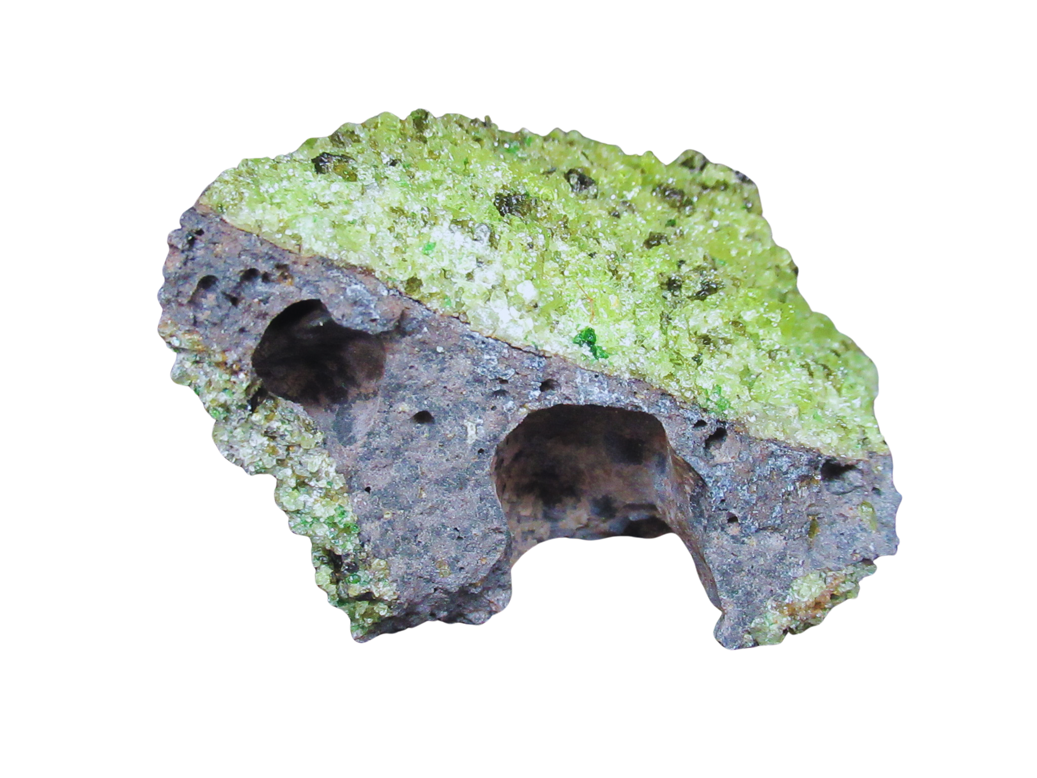 Peridot with Chrome Diopside and Spinel from Arizona 6b | Fossils for Sale Genuine Peridot with Chrome Diopside and Spinel Mineral For Sale From Arizona #6b
