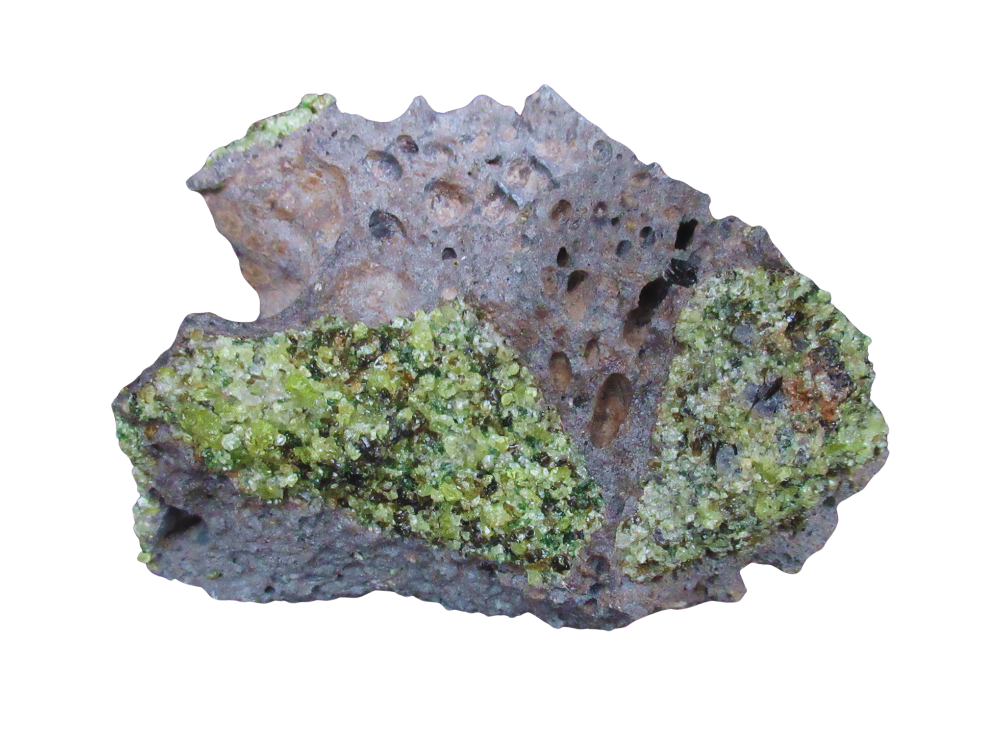 Peridot with Chrome Diopside and Spinel from Arizona 6c | Fossils for Sale Genuine Peridot with Chrome Diopside and Spinel Mineral For Sale From Arizona #6c