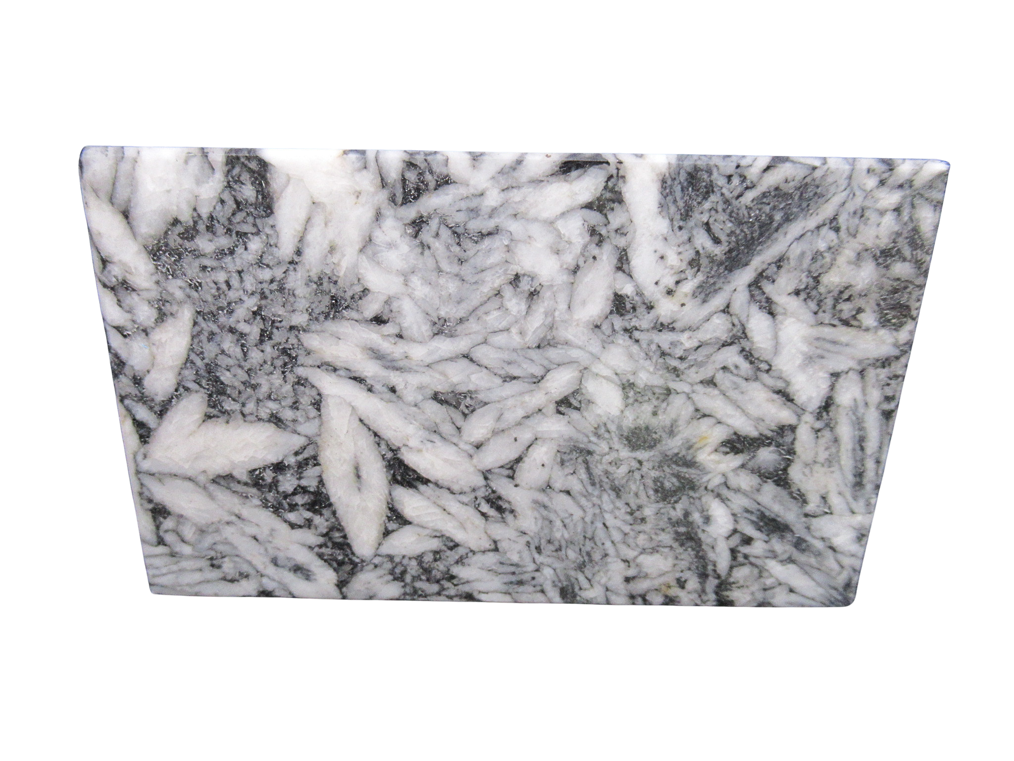Pinolith Pinolite Polished Mineral Slab from Austria 3 | Fossils for Sale Genuine Pinolith Pinolite Polished Mineral Slab for Sale from Austria #3