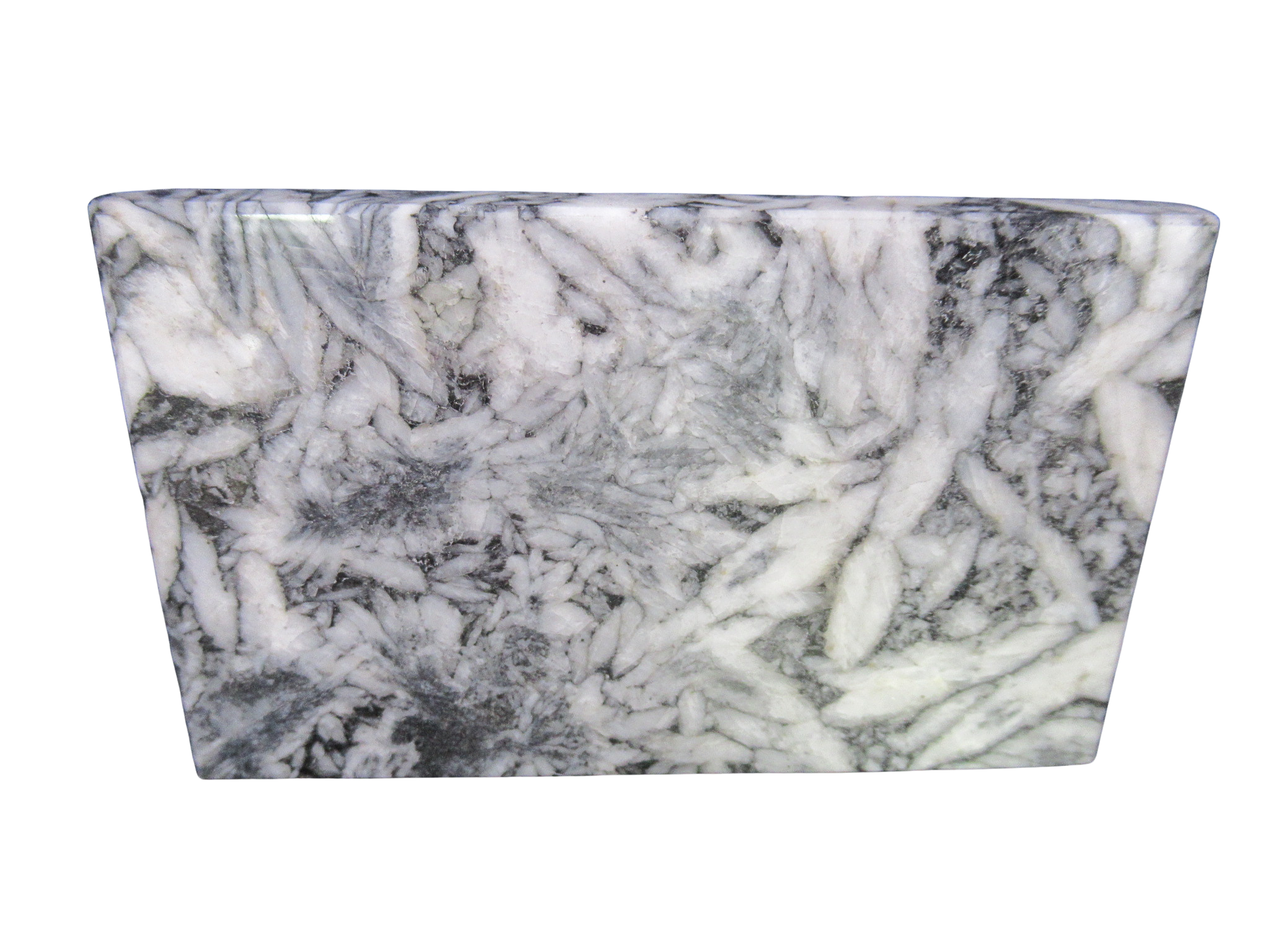 Pinolith Pinolite Polished Mineral Slab from Austria 3a | Fossils for Sale Genuine Pinolith Pinolite Polished Mineral Slab for Sale from Austria #3a