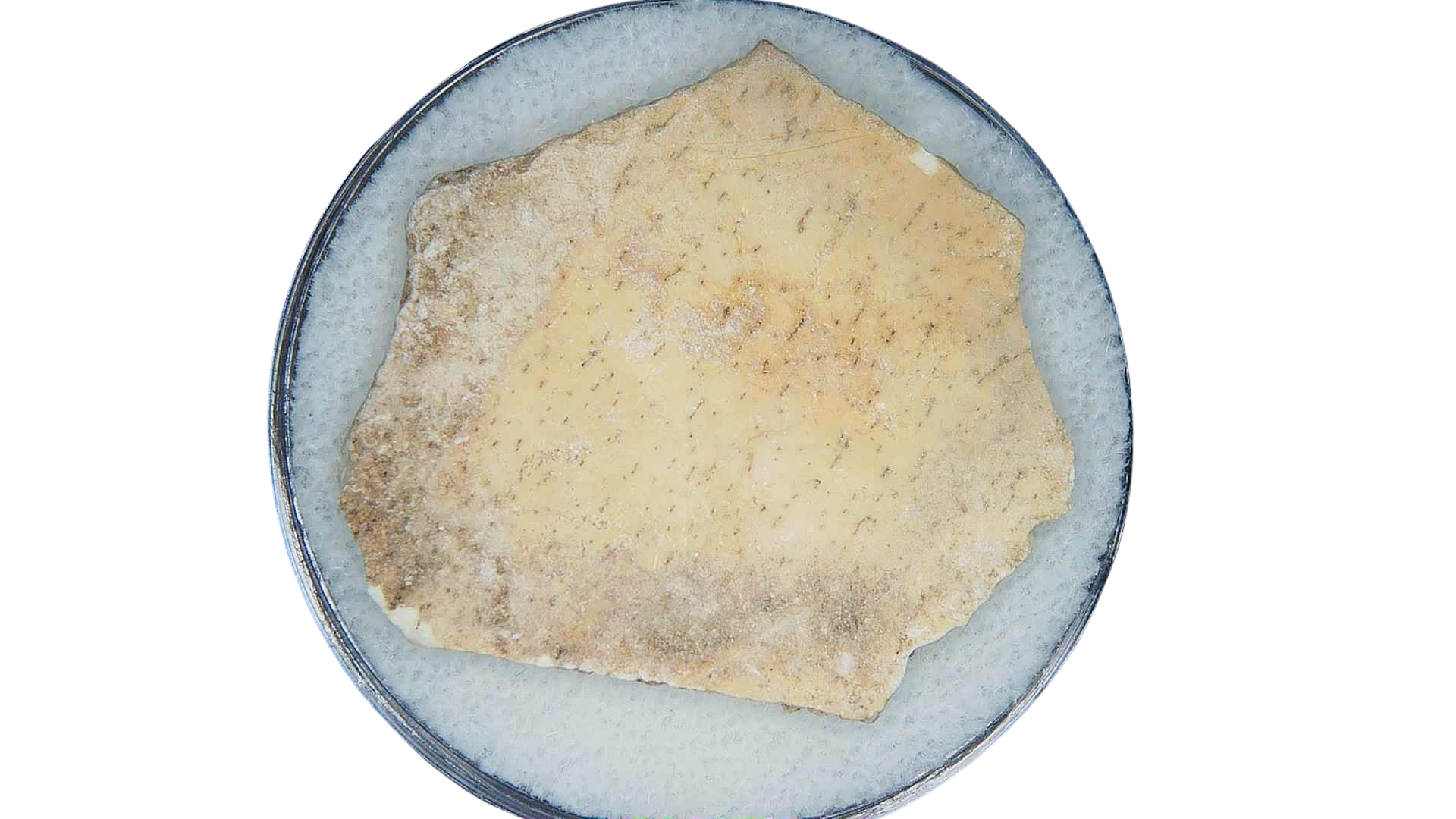 Pleistocene to Holocene Aepyornis Elephant Bird Eggshell 1 | Fossils for Sale Genuine Pleistocene to Holocene Age Aepyornis Elephant Bird Eggshell Fossil for Sale from Madagascar #1