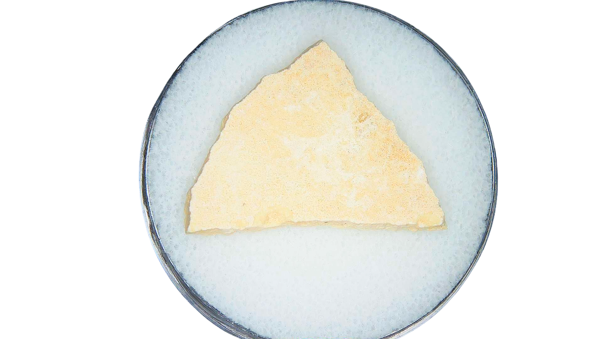 Pleistocene to Holocene Aepyornis Elephant Bird Eggshell 10a | Fossils for Sale Genuine Pleistocene to Holocene Age Aepyornis Elephant Bird Eggshell Fossil for Sale from Madagascar #10a