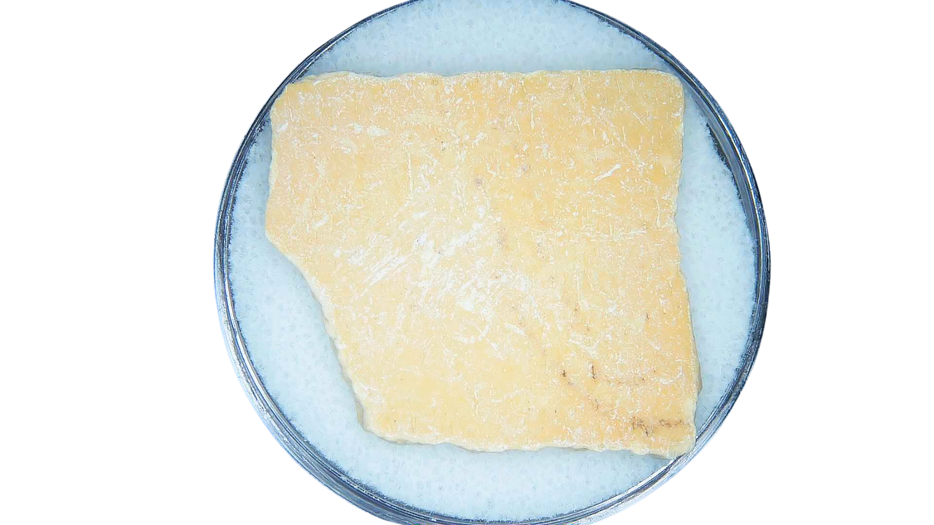 Pleistocene to Holocene Aepyornis Elephant Bird Eggshell 17 | Fossils for Sale Genuine Pleistocene to Holocene Age Aepyornis Elephant Bird Eggshell Fossil for Sale from Madagascar #17
