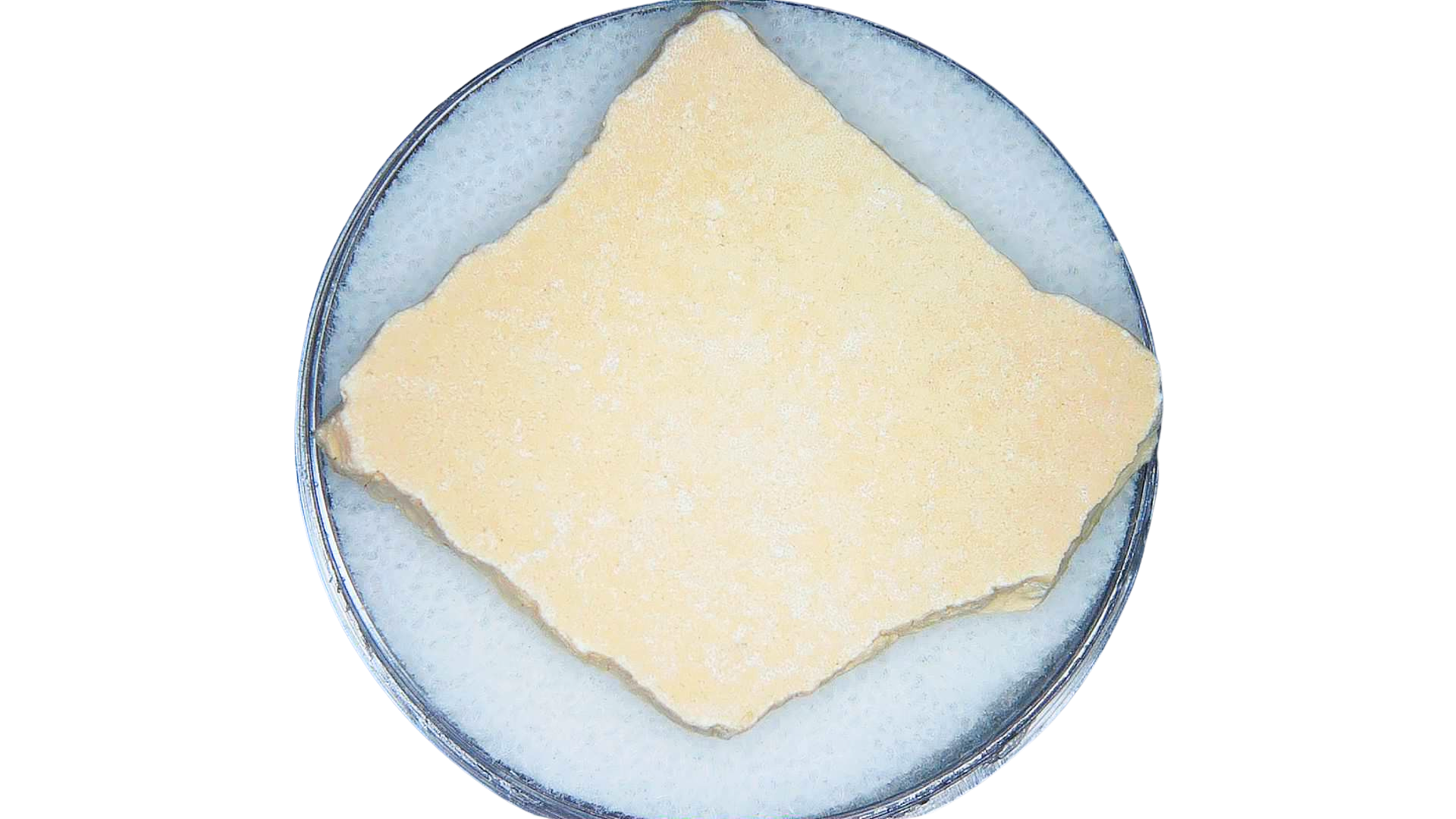 Pleistocene to Holocene Aepyornis Elephant Bird Eggshell 17a | Fossils for Sale Genuine Pleistocene to Holocene Age Aepyornis Elephant Bird Eggshell Fossil for Sale from Madagascar #17a