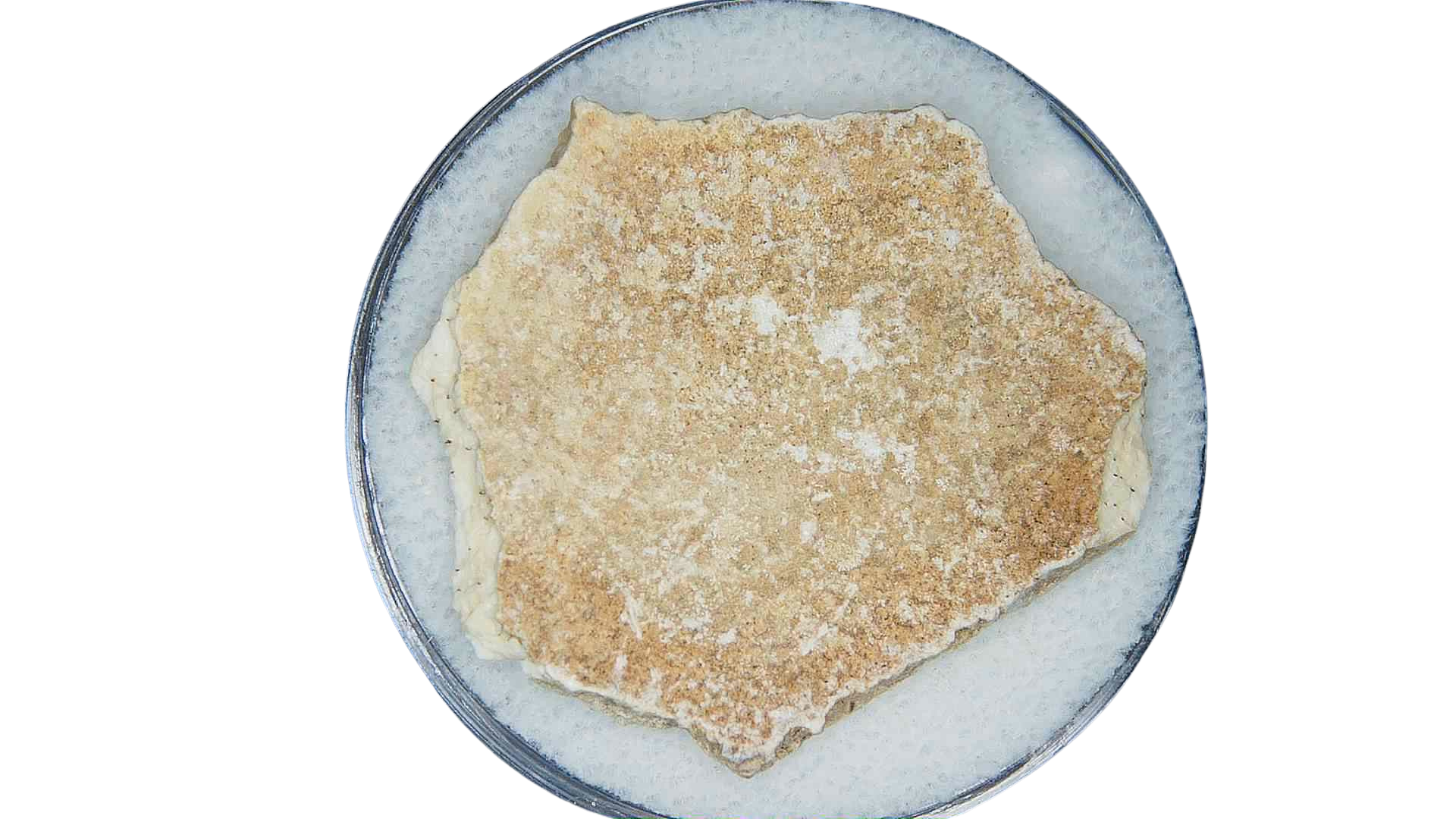 Pleistocene to Holocene Aepyornis Elephant Bird Eggshell 1a | Fossils for Sale Genuine Pleistocene to Holocene Age Aepyornis Elephant Bird Eggshell Fossil for Sale from Madagascar #1a