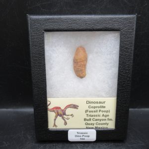 Triassic Age Dinosaur Coprolite from Bull Canyon Formation New Mexico 104c | Fossils for Sale