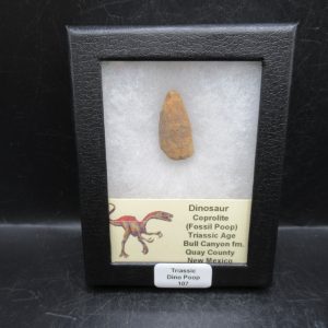Triassic Age Dinosaur Coprolite from Bull Canyon Formation New Mexico 107c | Fossils for Sale