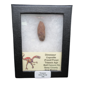 Triassic Age Dinosaur Coprolite from Bull Canyon Formation New Mexico 108c | Fossils for Sale