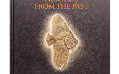 Angels From the Past – A Coffee Table Book by Stefano Piccini