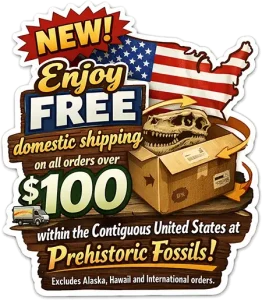Free Shipping