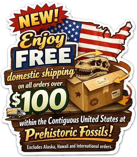 Free Shipping