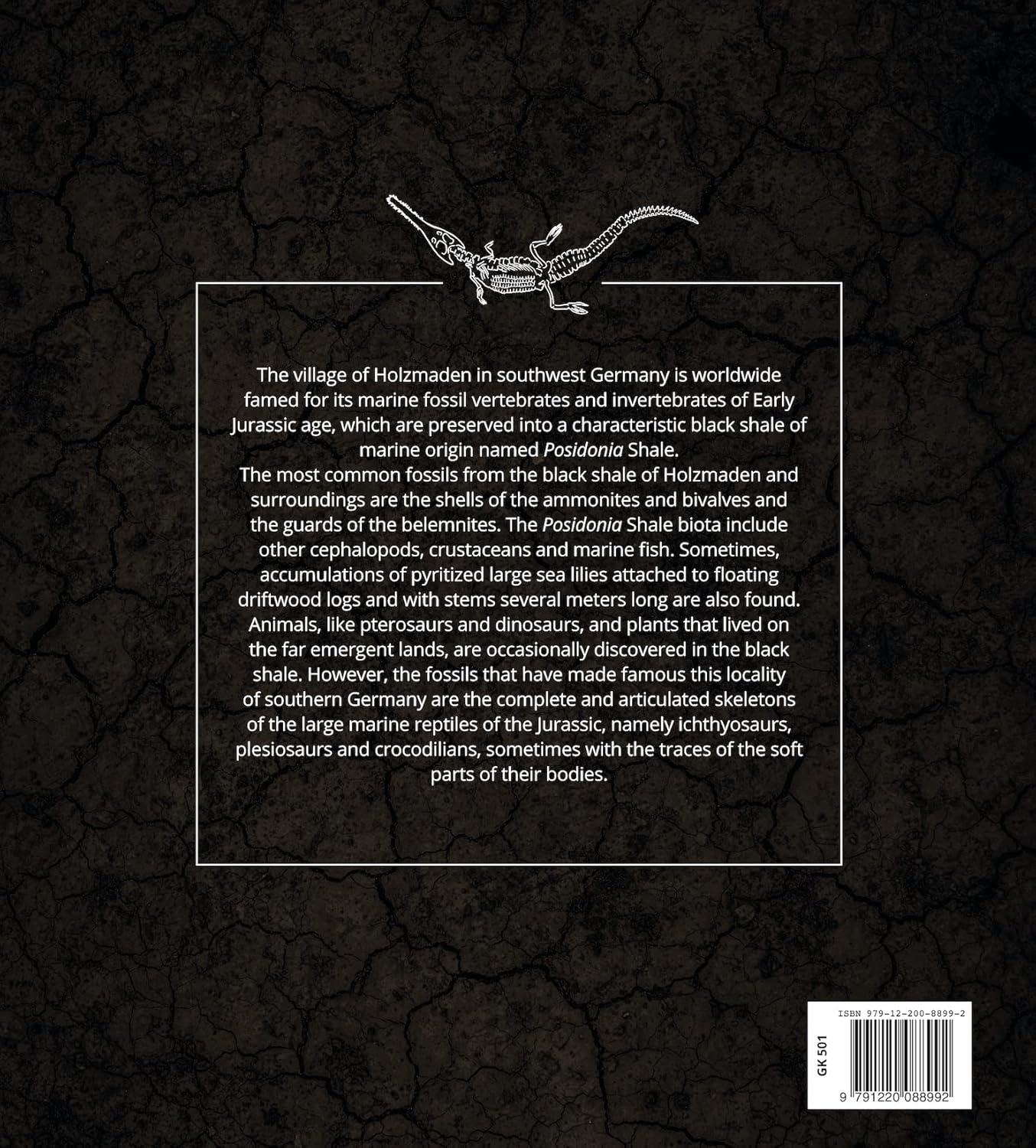 Jurassic Oceans - Holzmaden 7 | Fossils for Sale