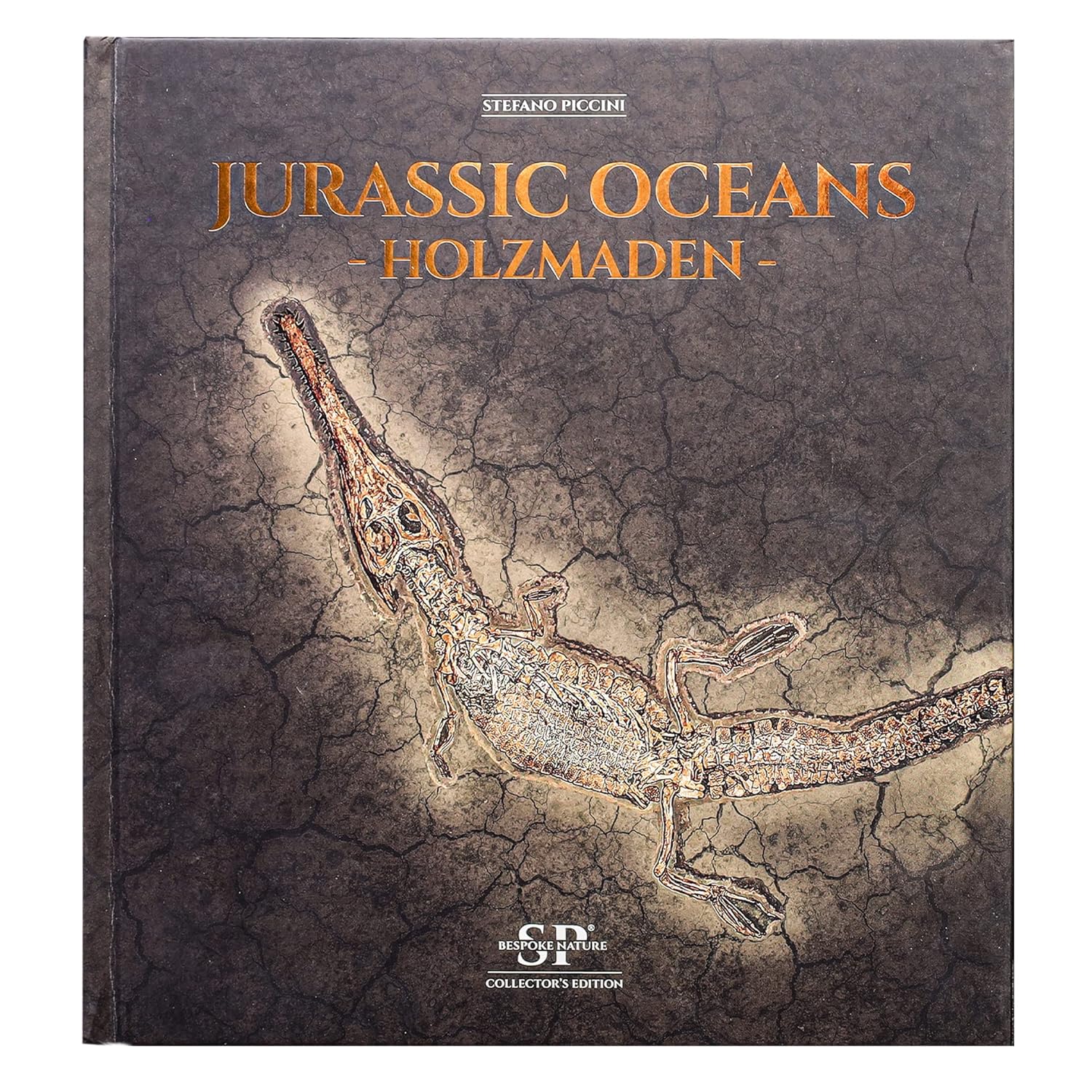 Jurassic Oceans - Holzmaden | Fossils for Sale