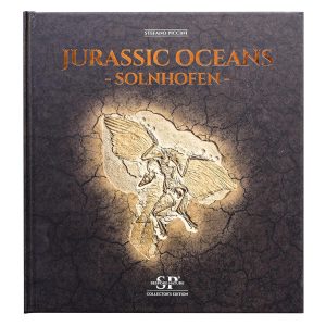 Jurassic Oceans - Solnhofen | Fossils for Sale