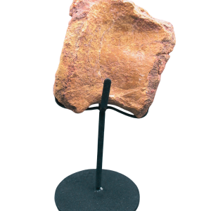 Genuine Cretaceous Age Sigilmassasaurus Dinosaur Bone Fossils for Sale from Morocco #9