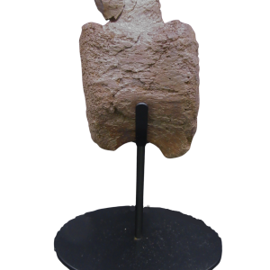 Genuine Cretaceous Age Hadrosaurus Dinosaur Bone on Stand for Sale from South Dakota #9