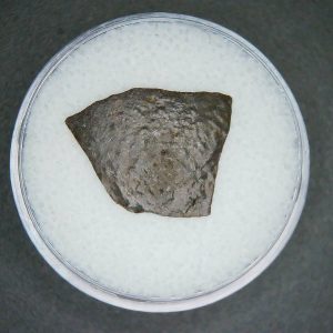 Cretaceous Age Oviraptor Dinosaur Egg Shell from China in Gem Jar 61 | Fossils for Sale Genuine Cretaceous Age Oviraptor Dinosaur Egg Shell Fossils From China For Sale #61