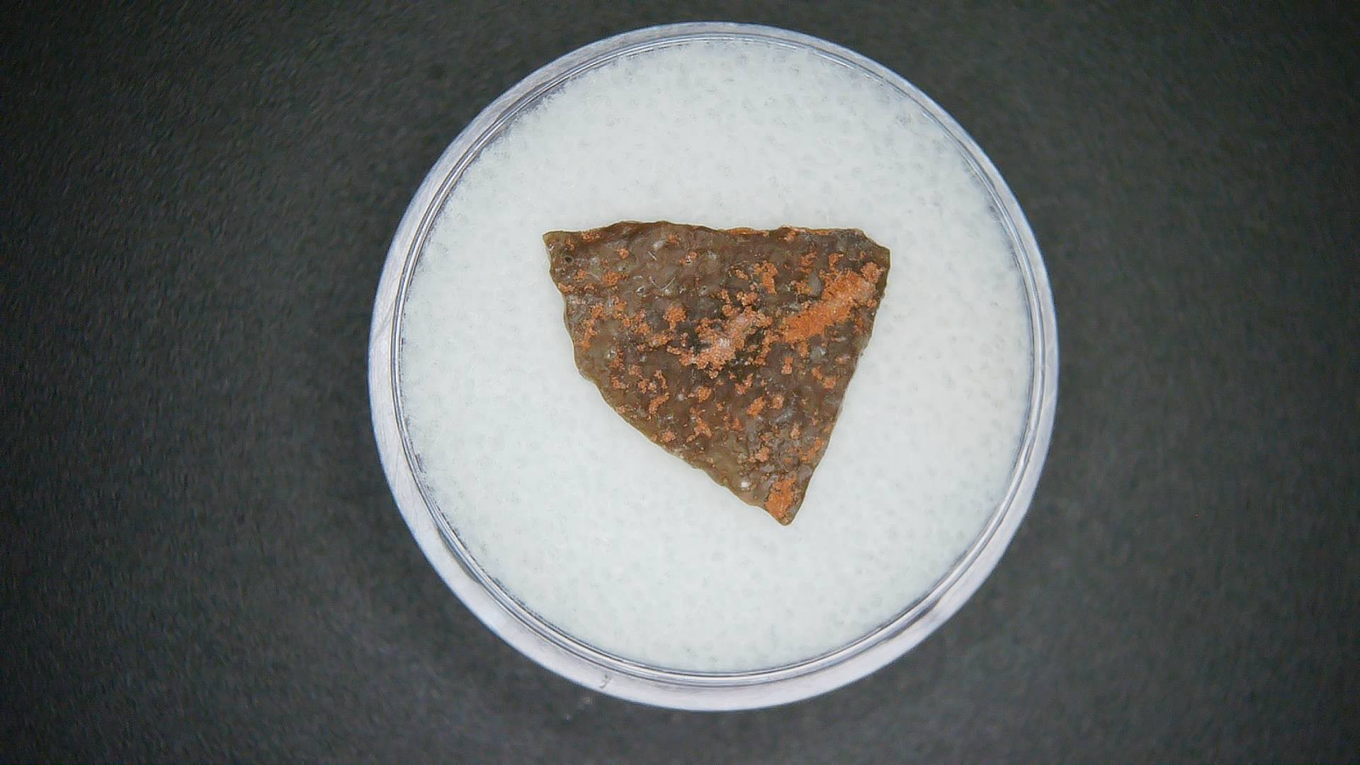 Cretaceous Age Oviraptor Dinosaur Egg Shell from China in Gem Jar 64 | Fossils for Sale Genuine Cretaceous Age Oviraptor Dinosaur Egg Shell Fossils From China For Sale #64