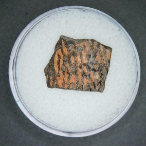 Cretaceous Age Oviraptor Dinosaur Egg Shell from China in Gem Jar 73 | Fossils for Sale Genuine Cretaceous Age Oviraptor Dinosaur Egg Shell Fossils From China For Sale #73