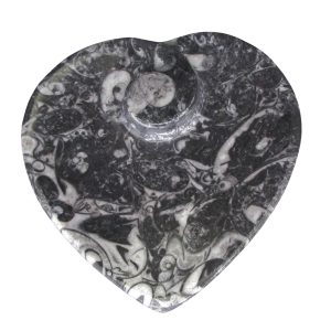 Devonian Age Goniatite and Orthoceras Fossil Heart Bowl 1 | Fossils for Sale Genuine Devonian Age Goniatite and Orthoceras Fossil Heart Bowl for Sale #1