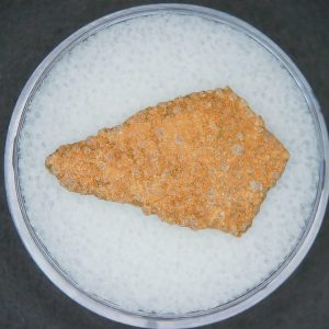 Hypselosaurus Dinosaur Egg Shell from Cretaceous of France 42 | Fossils for Sale