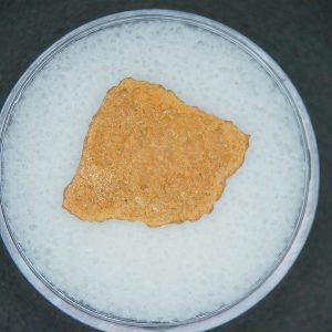 Hypselosaurus Dinosaur Egg Shell from Cretaceous of France 43 | Fossils for Sale