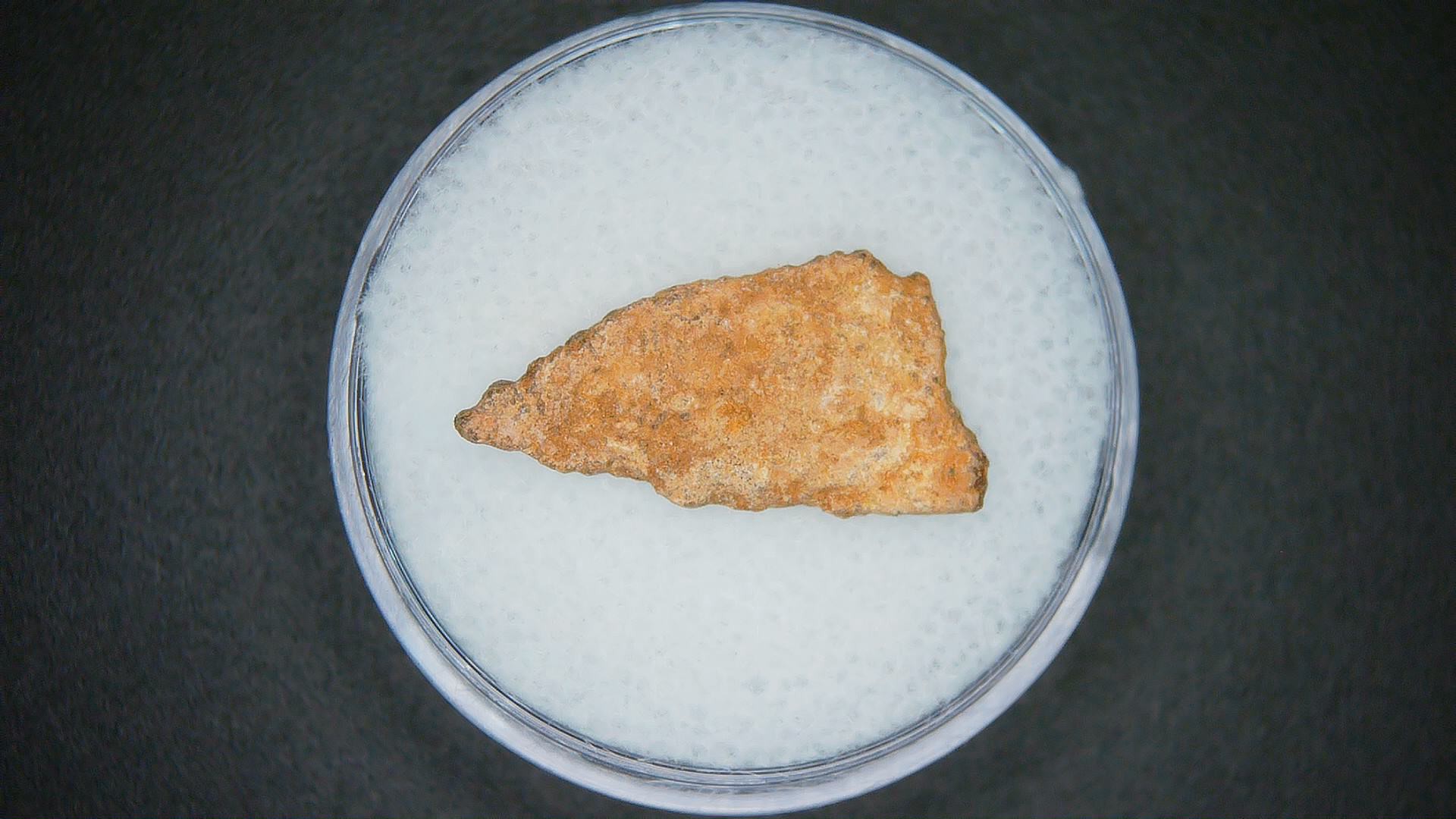 Hypselosaurus Dinosaur Egg Shell from Cretaceous of France 54a | Fossils for Sale Genuine Hypselosaurus Dinosaur Egg Shell Fossils From France For Sale #54a