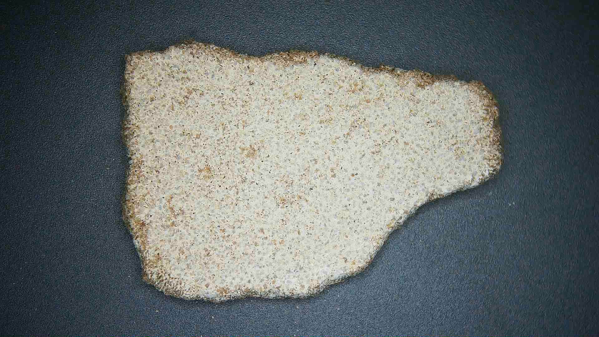 Late Cretaceous Age Titanosaur Egg Shell from France 17a | Fossils for Sale Genuine Cretaceous Age Titanosaur Egg Shell Fossils for Sale from France #17a