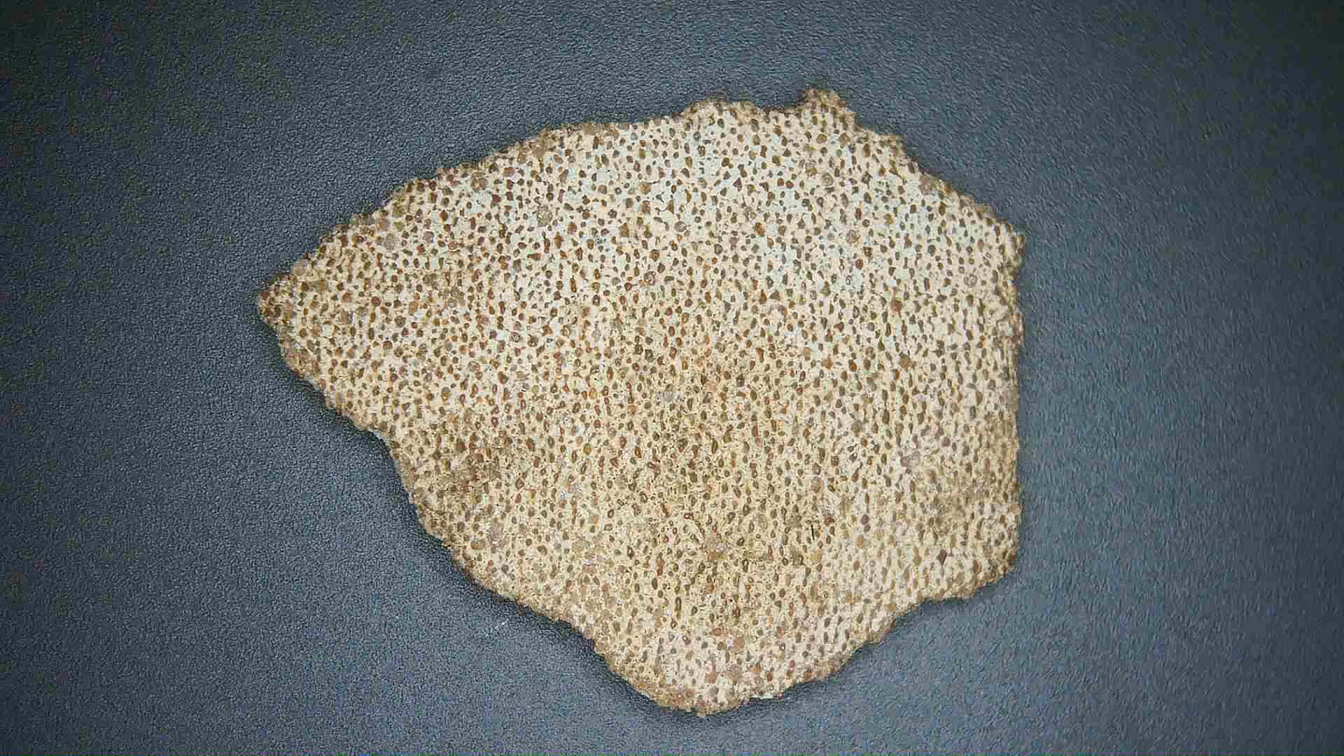 Late Cretaceous Age Titanosaur Egg Shell from France 30 | Fossils for Sale Genuine Cretaceous Age Titanosaur Egg Shell Fossils for Sale from France #30