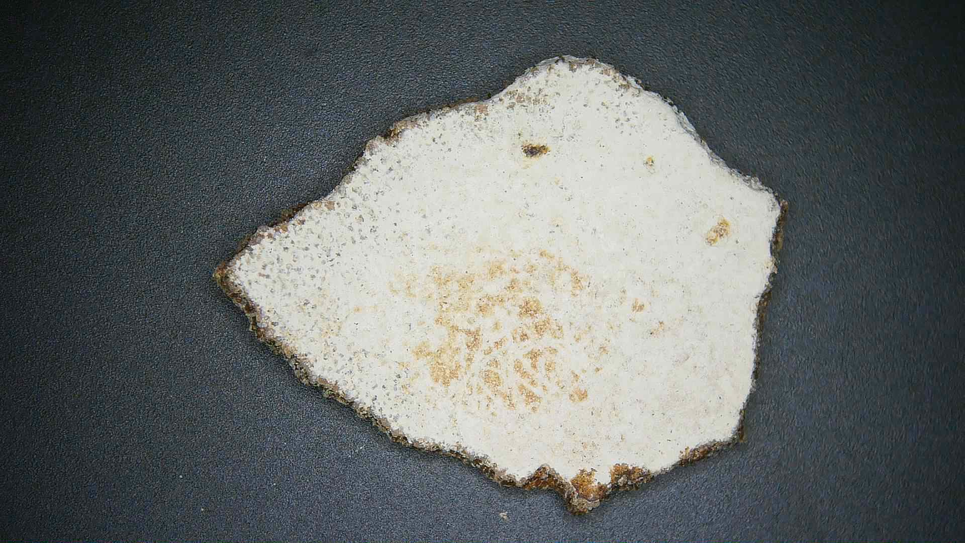 Late Cretaceous Age Titanosaur Egg Shell from France 30a | Fossils for Sale Genuine Cretaceous Age Titanosaur Egg Shell Fossils for Sale from France #30a