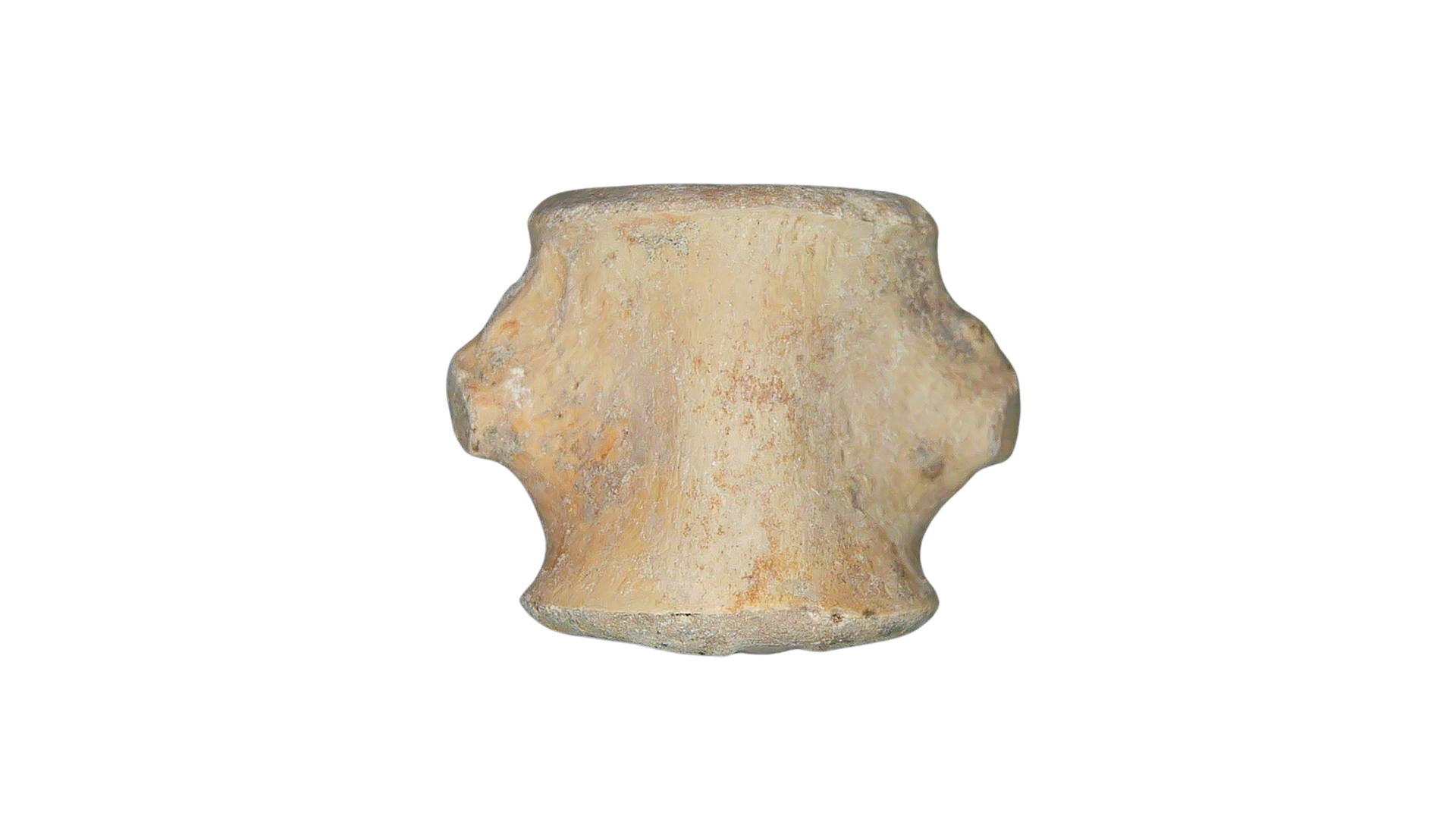 Champsosaurus Cretaceous Diapsid Reptile Vertebra from South Dakota 6 | Fossils for Sale Champsosaurus Cretaceous Age Diapsid Reptile Vertebra from South Dakota #6