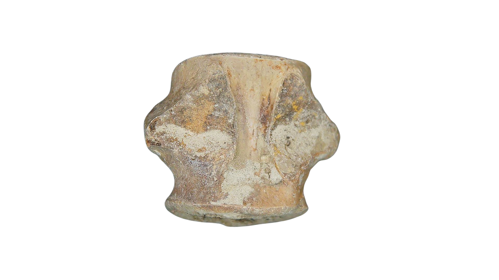 Champsosaurus Cretaceous Diapsid Reptile Vertebra from South Dakota 6a | Fossils for Sale Champsosaurus Cretaceous Age Diapsid Reptile Vertebra from South Dakota #6a