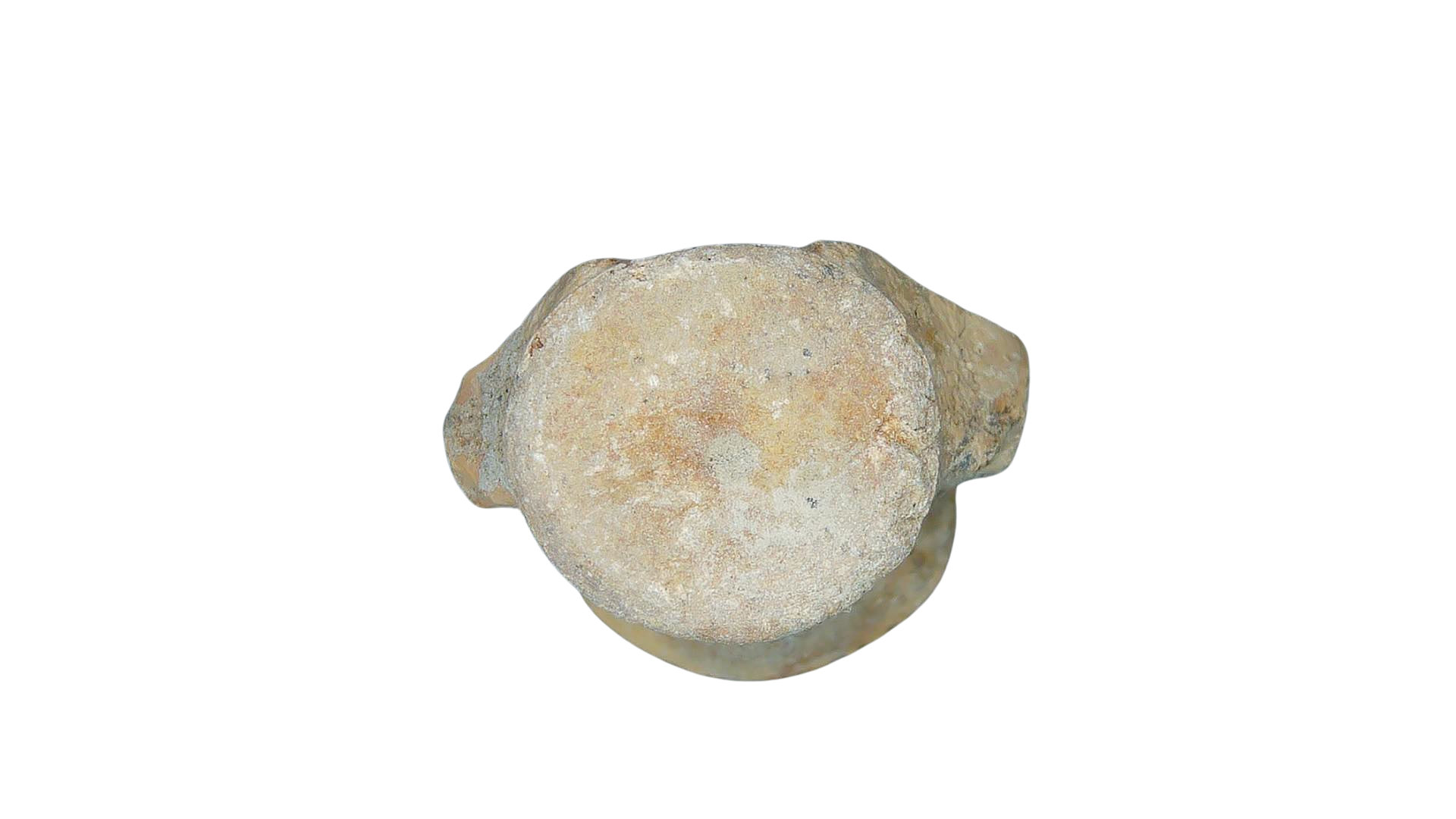 Champsosaurus Cretaceous Diapsid Reptile Vertebra from South Dakota 6b | Fossils for Sale Champsosaurus Cretaceous Age Diapsid Reptile Vertebra from South Dakota #6b