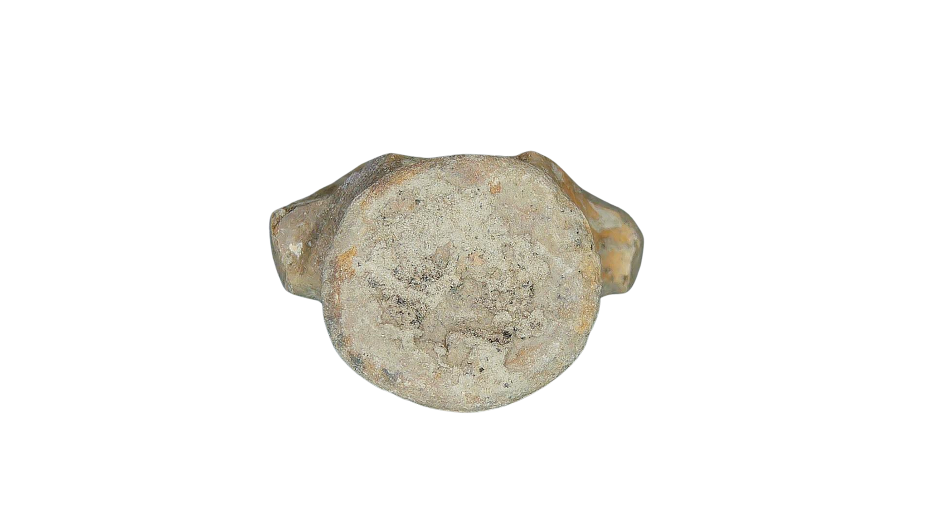Champsosaurus Cretaceous Diapsid Reptile Vertebra from South Dakota 6c | Fossils for Sale Champsosaurus Cretaceous Age Diapsid Reptile Vertebra from South Dakota #6c
