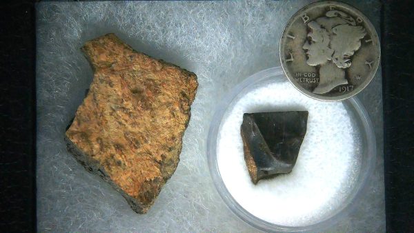 Triceratops Frill and Tooth Set Cretaceous Age Small Set 20a | Fossils for Sale Genuine Cretaceous Age Triceratops Frill and Tooth Set Fossil for Sale from South Dakota #20a