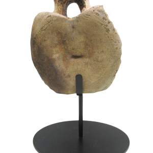 Hadrosaurus Dinosaur Vertebra Bone on Stand for Sale 11 | Fossils for Sale Genuine Cretaceous Age Hadrosaurus Dinosaur Vertebra Bone on Stand for Sale from South Dakota #11