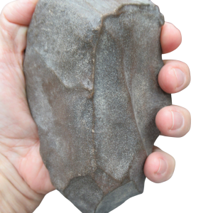 Paleolithic Hand Tool from Algeria and Morocco Region Africa 10 | Fossils for Sale Genuine Paleolithic Hand Tool from Algeria and Morocco Region Africa for Sale #10
