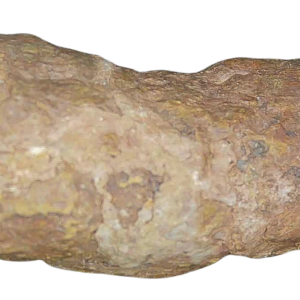 Genuine Permian Age Coprolite for Sale from Texas Red Beds #66b