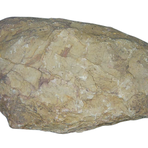 Genuine Permian Age Coprolite for Sale from Texas Red Beds #67