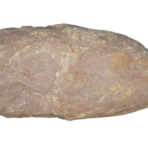 Genuine Permian Age Coprolite for Sale from Texas Red Beds #70