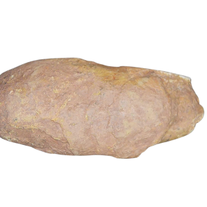 Genuine Permian Age Coprolite for Sale from Texas Red Beds #72